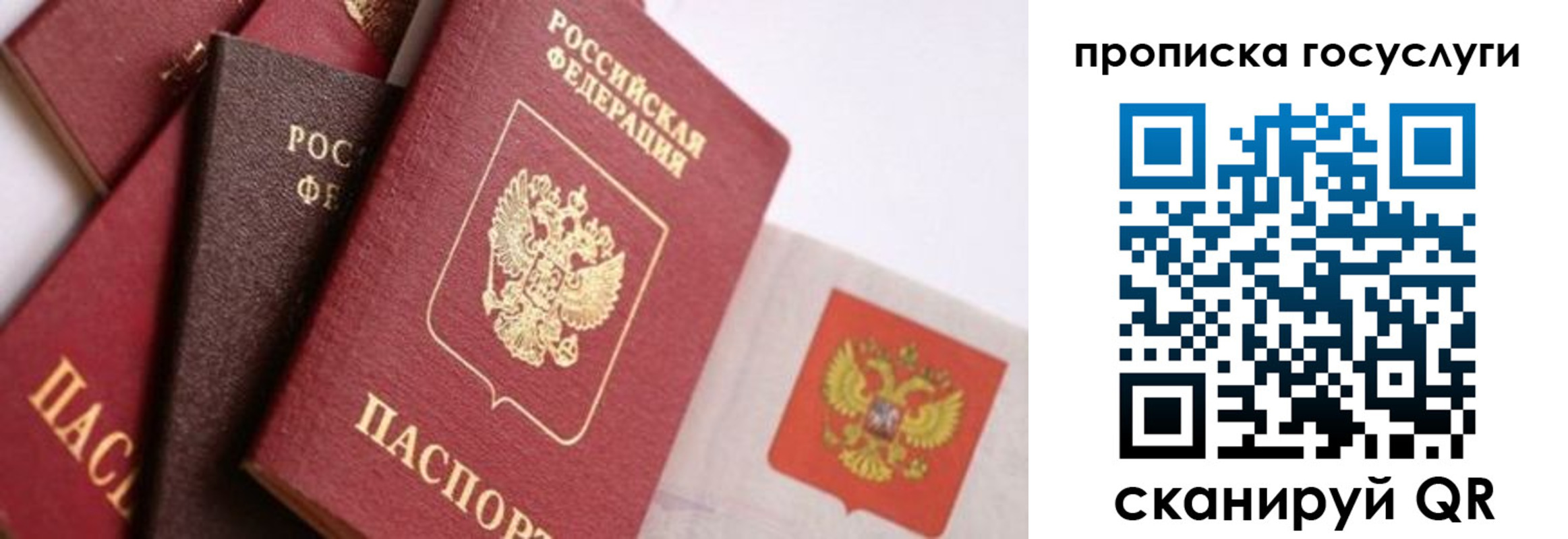 прописка законно в Льгове